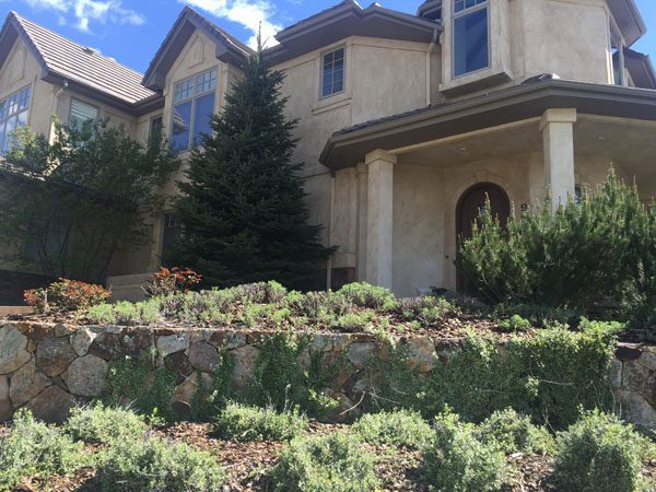 Highlands Ranch home close up view